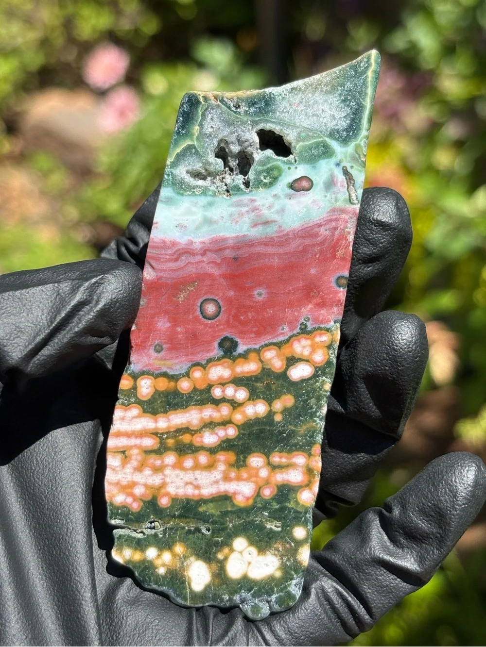 Colorful Ocean Jasper Slab - Druzy Sea Jasper - Polished Orbicular Jasper